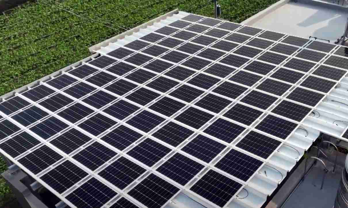 赏金国际SunSteel光电浪板升级双玻结构，，，，以提升机械负载强度及气候耐候度，，，可广泛运用于多元场域