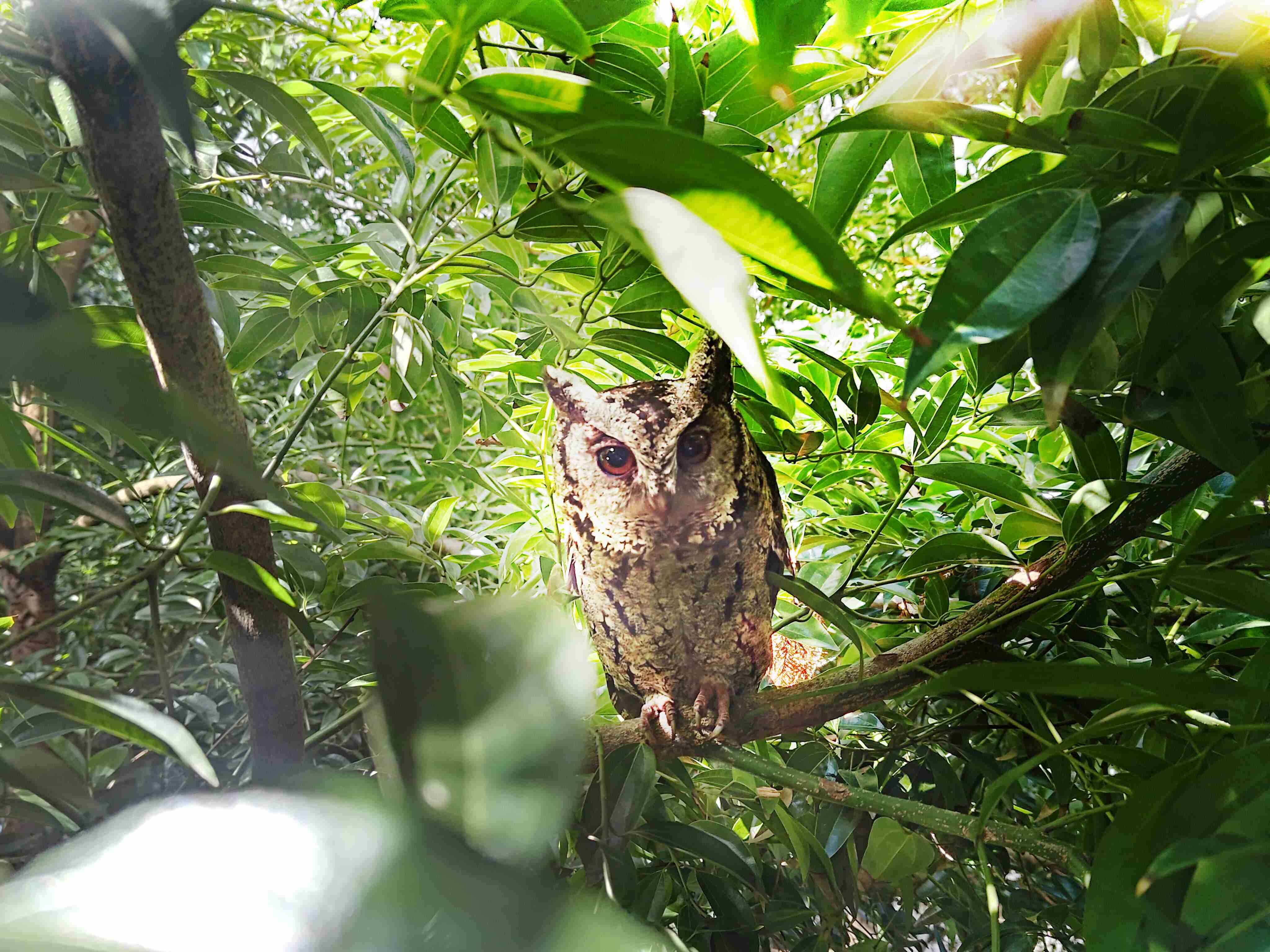 赏金国际致力提倡净零绿生活，，，16年以来在全球各厂区植树逾百万棵，，，，造就各厂区树木蔚然成林，，，，犹如森林工厂，，，，成为许多生物的栖息地